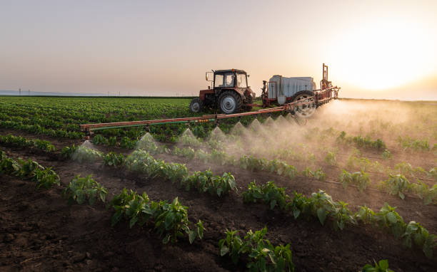 Best Pest Removal Services  in Medford Lakes, NJ