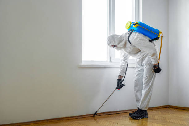 Best Wasp Removal Services  in Medford Lakes, NJ