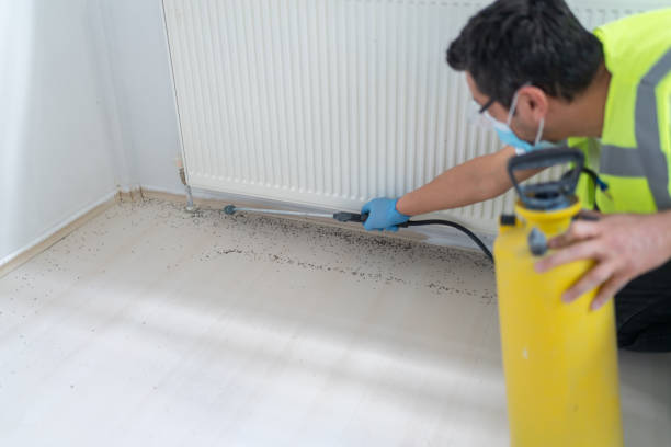 Best Affordable Pest Control Services  in Medford Lakes, NJ